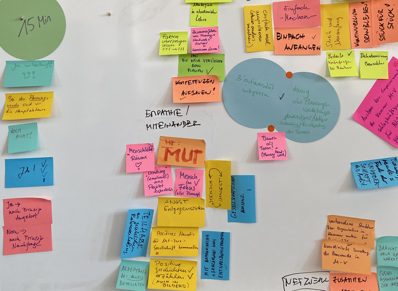 Arbeit in Ausschüssen und Arbeitsgruppen